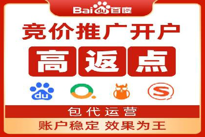 推广竞价策略解析：成功案例分享